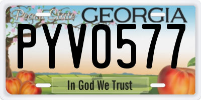 GA license plate PYV0577
