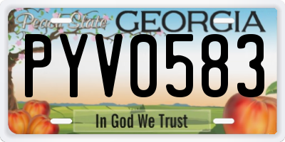 GA license plate PYV0583