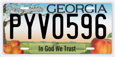 GA license plate PYV0596