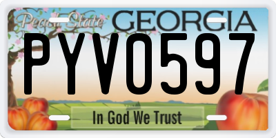 GA license plate PYV0597