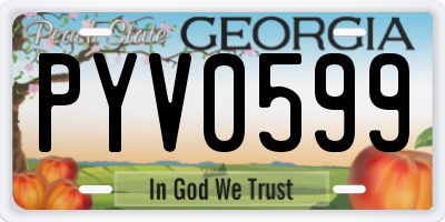 GA license plate PYV0599