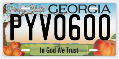 GA license plate PYV0600