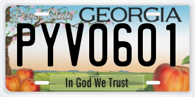 GA license plate PYV0601