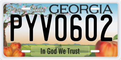 GA license plate PYV0602