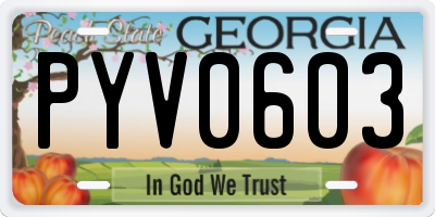 GA license plate PYV0603