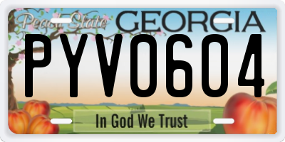 GA license plate PYV0604
