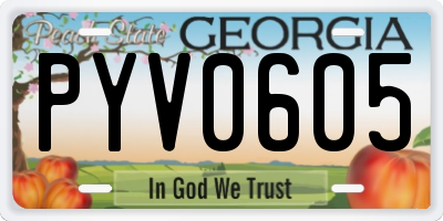GA license plate PYV0605