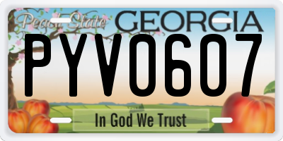GA license plate PYV0607