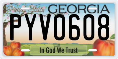 GA license plate PYV0608
