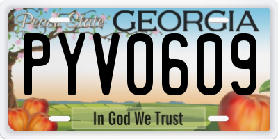GA license plate PYV0609