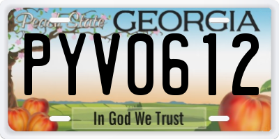 GA license plate PYV0612