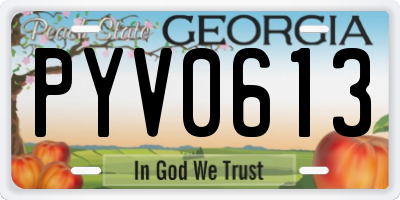 GA license plate PYV0613