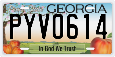 GA license plate PYV0614