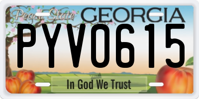 GA license plate PYV0615