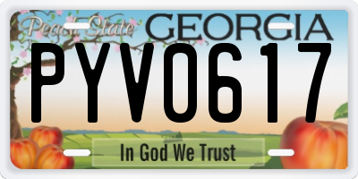 GA license plate PYV0617