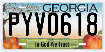 GA license plate PYV0618