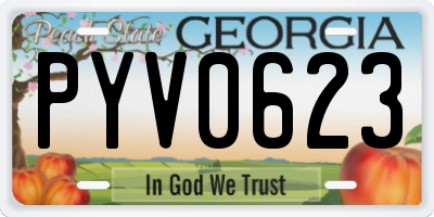 GA license plate PYV0623