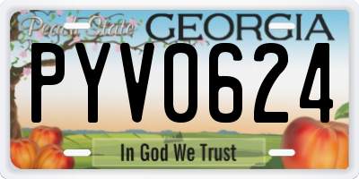 GA license plate PYV0624