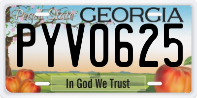 GA license plate PYV0625