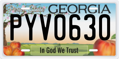 GA license plate PYV0630