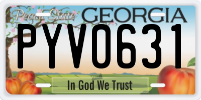 GA license plate PYV0631