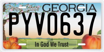 GA license plate PYV0637