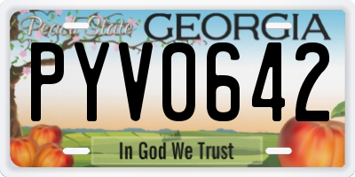 GA license plate PYV0642