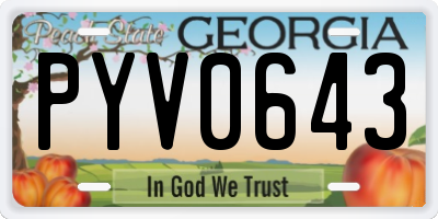 GA license plate PYV0643
