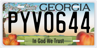 GA license plate PYV0644
