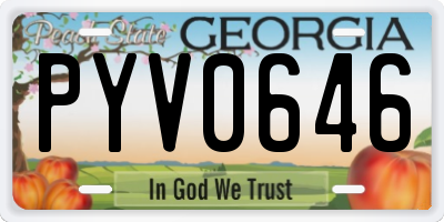 GA license plate PYV0646