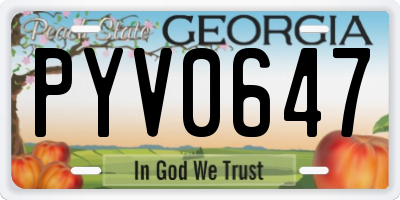 GA license plate PYV0647