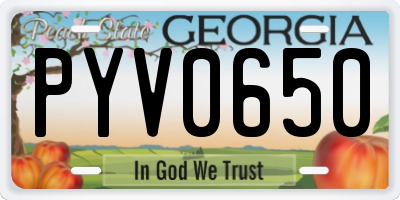 GA license plate PYV0650