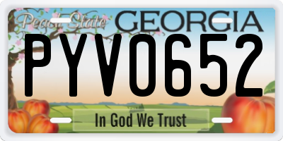 GA license plate PYV0652