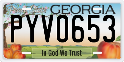 GA license plate PYV0653