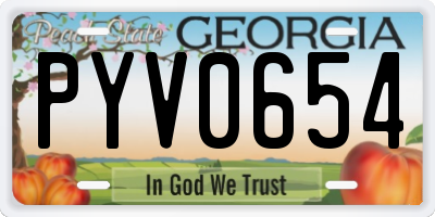 GA license plate PYV0654