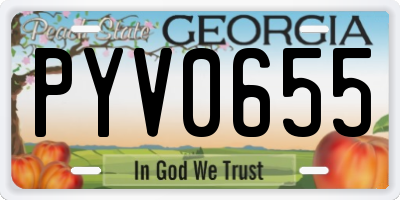 GA license plate PYV0655