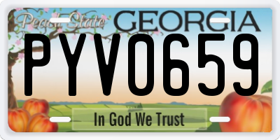 GA license plate PYV0659