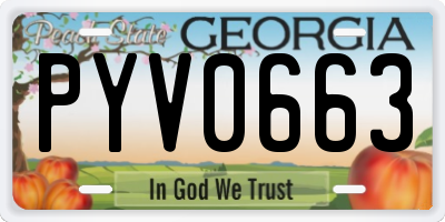GA license plate PYV0663