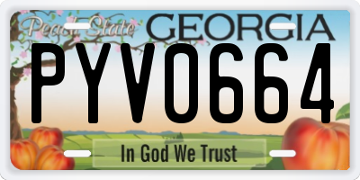 GA license plate PYV0664