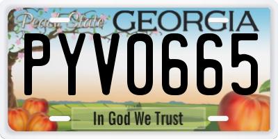 GA license plate PYV0665