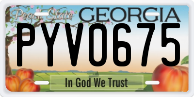 GA license plate PYV0675