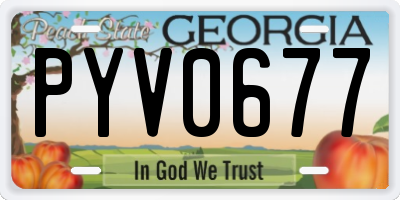 GA license plate PYV0677