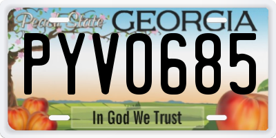 GA license plate PYV0685