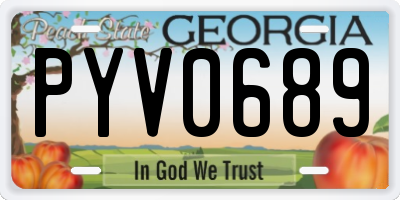 GA license plate PYV0689