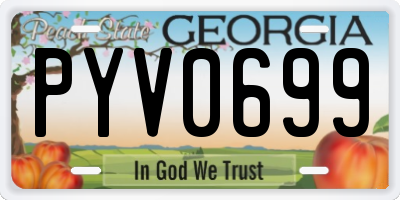 GA license plate PYV0699