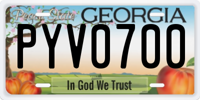 GA license plate PYV0700