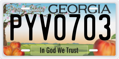 GA license plate PYV0703