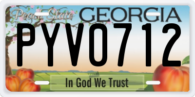 GA license plate PYV0712