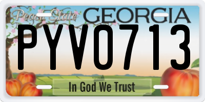 GA license plate PYV0713