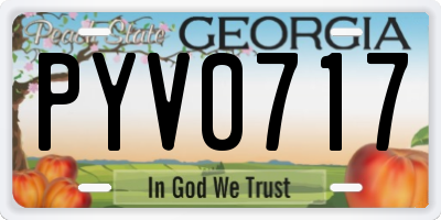 GA license plate PYV0717